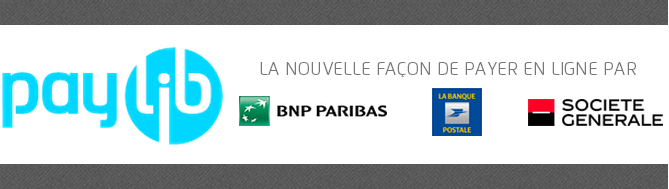 L’américain Paypal menacé par les banques françaises — Forex