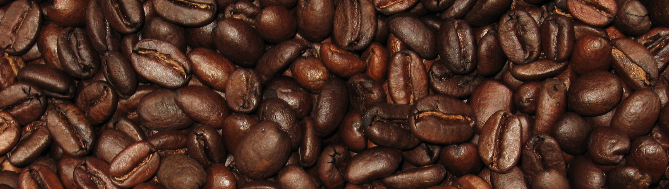 Matières premières : Le café d’Amérique centrale en danger — Forex
