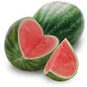 Trader Forex watermelon