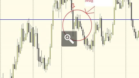 price-action-daily-charts-8293